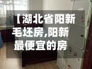 【湖北省阳新毛坯房,阳新最便宜的房子】-第2张图片