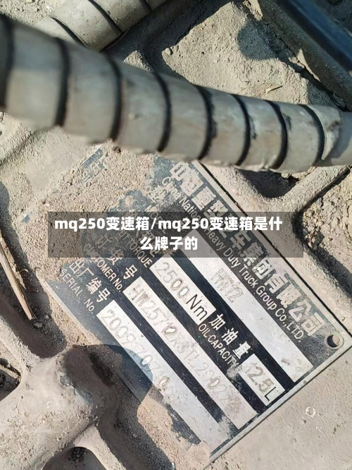 mq250变速箱/mq250变速箱是什么牌子的