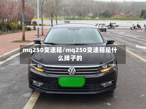 mq250变速箱/mq250变速箱是什么牌子的-第3张图片
