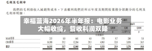 幸福蓝海2026年半年报：电影业务大幅收缩，营收利润双降-第3张图片
