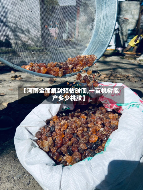【河南全面解封预估时间,一亩桃树能产多少桃胶】-第2张图片