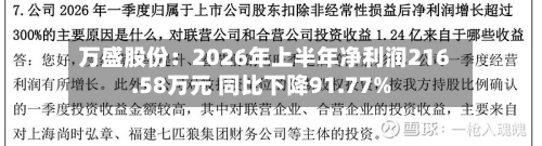 万盛股份：2026年上半年净利润216.58万元 同比下降91.77%-第1张图片