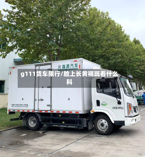 g111货车限行/脸上长黄褐斑看什么科-第3张图片