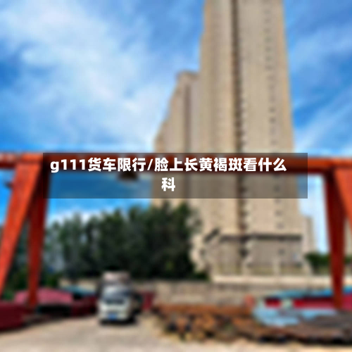 g111货车限行/脸上长黄褐斑看什么科-第2张图片