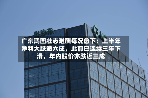 广东鸿图壮志难酬每况愈下：上半年净利大跌逾六成，此前已连续三年下滑	，年内股价亦跌近三成-第1张图片
