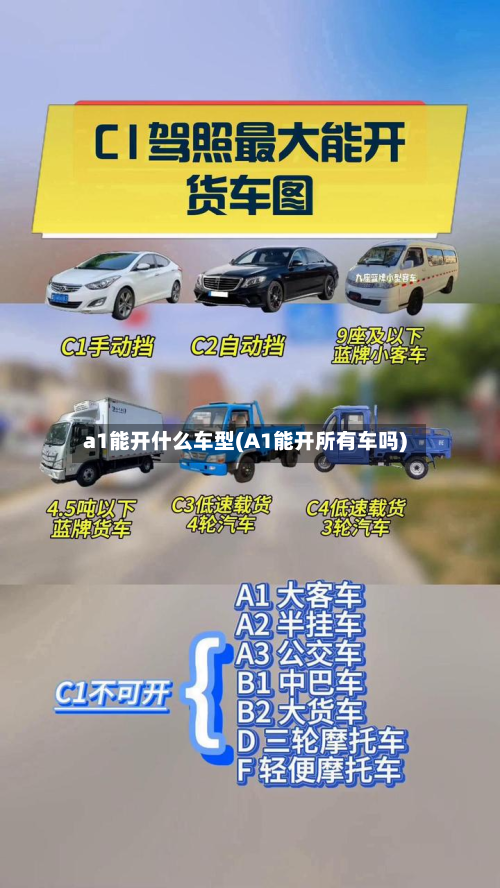 a1能开什么车型(A1能开所有车吗)-第3张图片