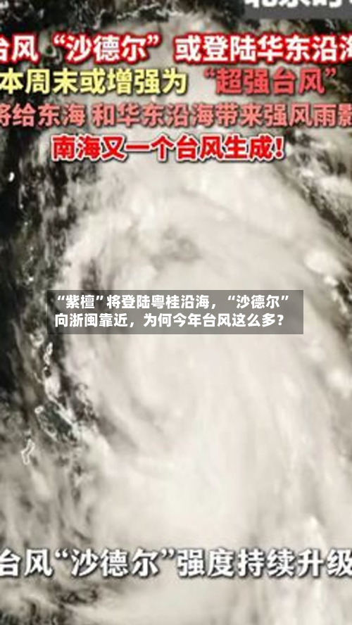 “紫檀”将登陆粤桂沿海	，“沙德尔	”向浙闽靠近，为何今年台风这么多？-第2张图片