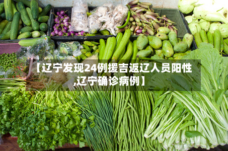 【辽宁发现24例援吉返辽人员阳性,辽宁确诊病例】-第2张图片
