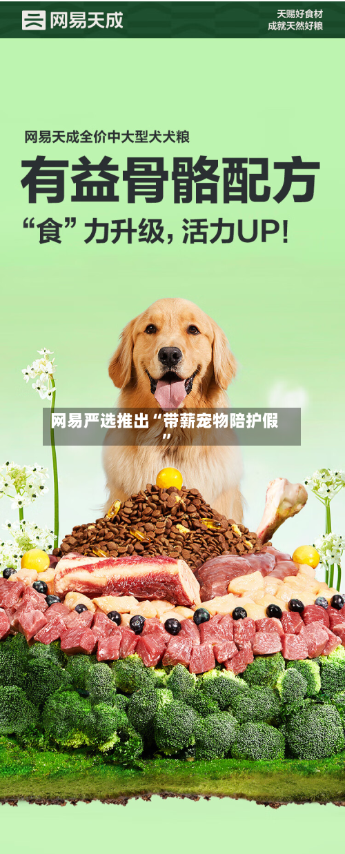 网易严选推出“带薪宠物陪护假”-第3张图片