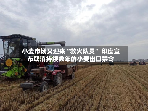 小麦市场又迎来“救火队员	” 印度宣布取消持续数年的小麦出口禁令-第1张图片