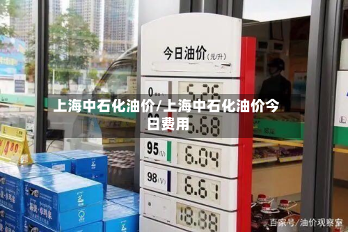 上海中石化油价/上海中石化油价今日费用