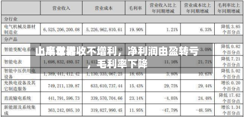 山鹰世界上半年增收不增利，净利润由盈转亏，毛利率下降-第2张图片