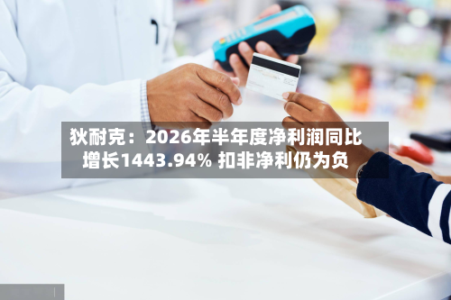 狄耐克：2026年半年度净利润同比增长1443.94% 扣非净利仍为负-第1张图片