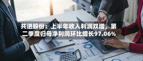 共进股份：上半年收入利润双增	，第二季度归母净利润环比增长97.06%-第2张图片