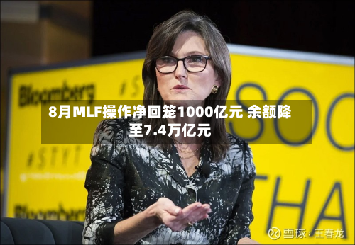 8月MLF操作净回笼1000亿元 余额降至7.4万亿元-第3张图片