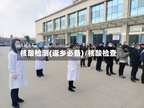 核酸检测(返乡必备)/核酸检查