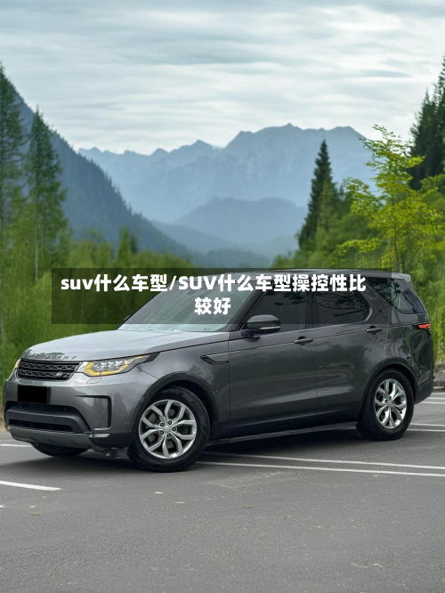 suv什么车型/SUV什么车型操控性比较好-第2张图片