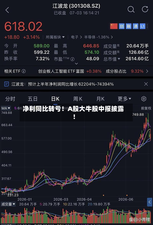 净利同比转亏！A股大牛股中报披露！-第2张图片
