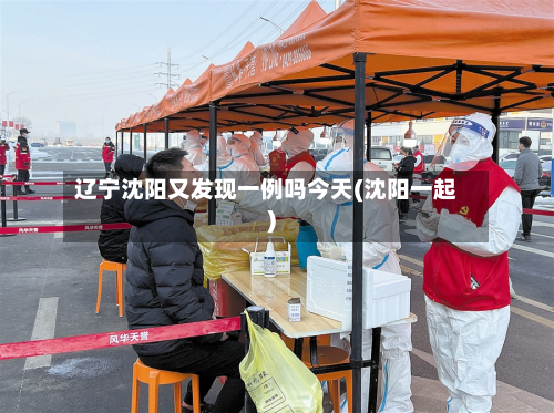 辽宁沈阳又发现一例吗今天(沈阳一起)-第3张图片