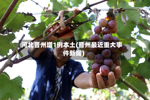 河北晋州增1例本土(晋州最近重大事件新闻)-第2张图片