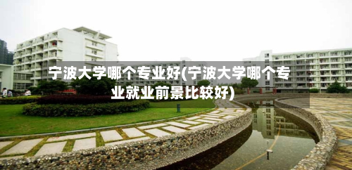 宁波大学哪个专业好(宁波大学哪个专业就业前景比较好)-第3张图片