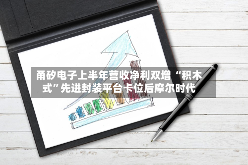 甬矽电子上半年营收净利双增 “积木式”先进封装平台卡位后摩尔时代-第2张图片