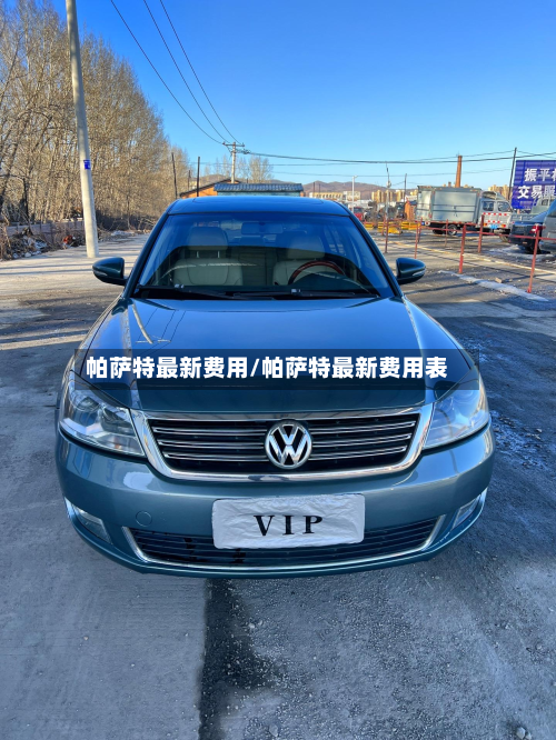 帕萨特最新费用/帕萨特最新费用表-第2张图片