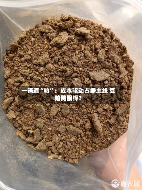 一语道“粕	”：成本驱动占据主线 豆粕费用如何演绎？-第1张图片
