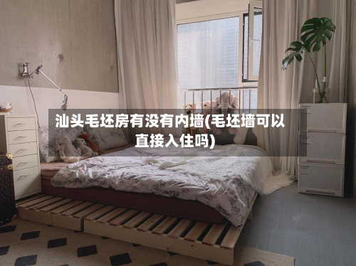 汕头毛坯房有没有内墙(毛坯墙可以直接入住吗)