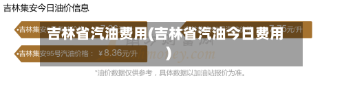 吉林省汽油费用(吉林省汽油今日费用)