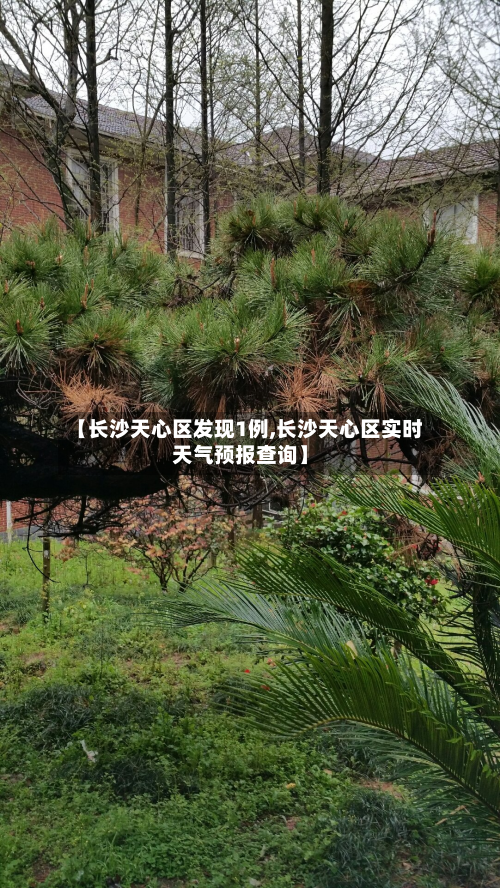 【长沙天心区发现1例,长沙天心区实时天气预报查询】-第3张图片