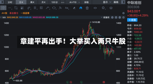 章建平再出手！大举买入两只牛股