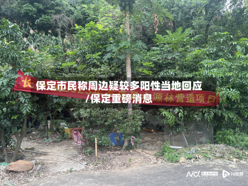 保定市民称周边疑较多阳性当地回应/保定重磅消息-第2张图片