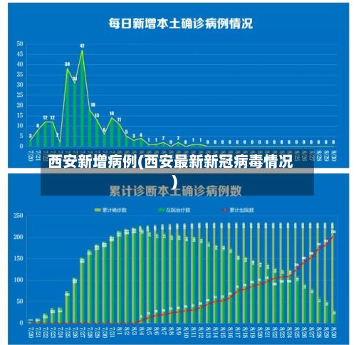 西安新增病例(西安最新新冠病毒情况)-第2张图片