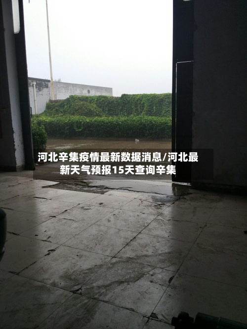 河北辛集疫情最新数据消息/河北最新天气预报15天查询辛集-第2张图片