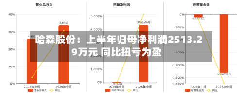 哈森股份：上半年归母净利润2513.29万元 同比扭亏为盈