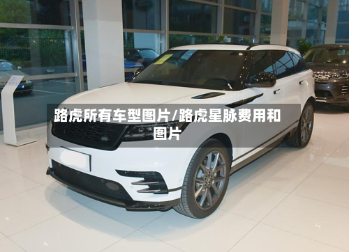 路虎所有车型图片/路虎星脉费用和图片-第3张图片