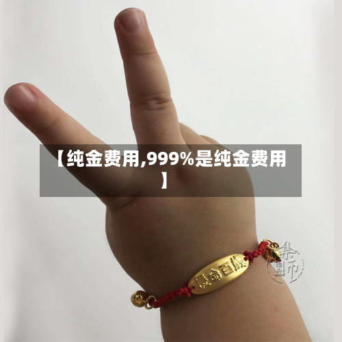 【纯金费用,999%是纯金费用】