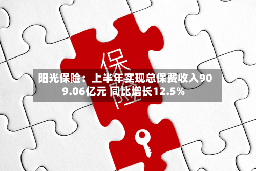 阳光保险:上半年实现总保费收入909.06亿元 同比增长12.5%-第3张图片