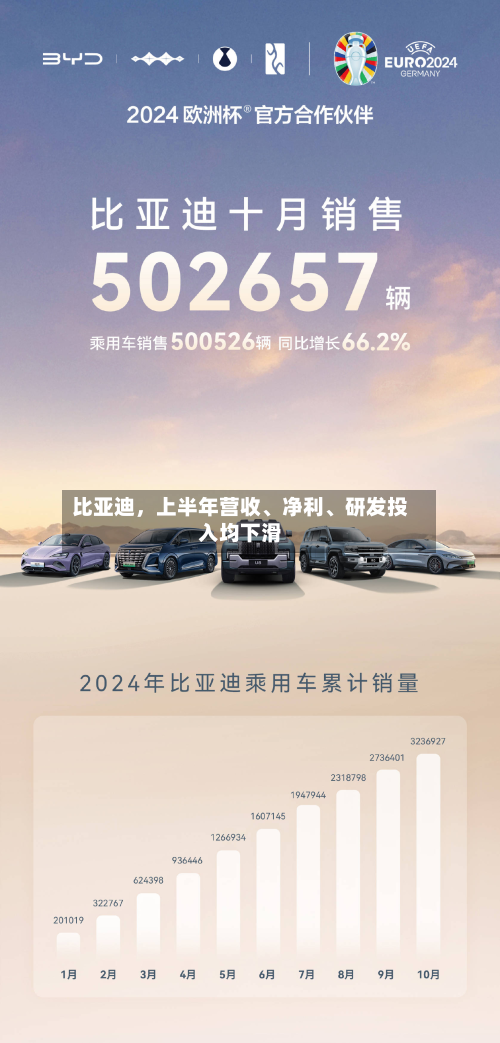 比亚迪，上半年营收、净利、研发投入均下滑-第2张图片