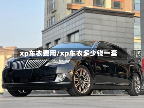 xp车衣费用/xp车衣多少钱一套-第3张图片