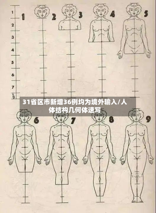 31省区市新增36例均为境外输入/人体结构几何体速写-第2张图片
