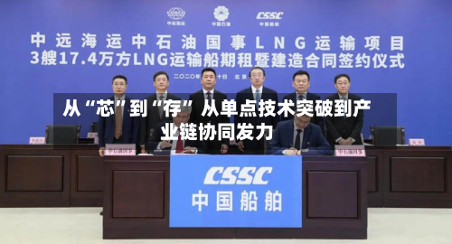 从“芯	”到“存” 从单点技术突破到产业链协同发力-第2张图片