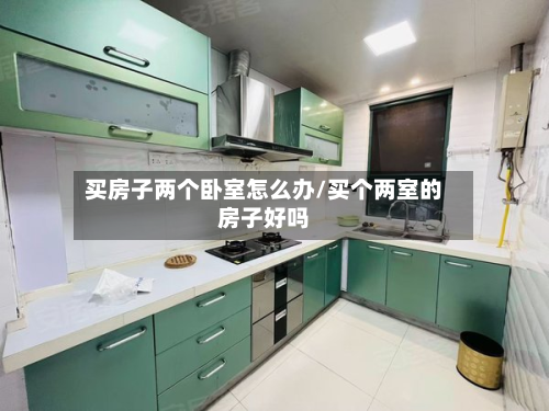 买房子两个卧室怎么办/买个两室的房子好吗