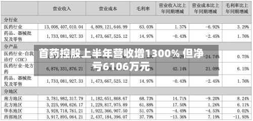 首药控股上半年营收增1300% 但净亏6106万元-第1张图片