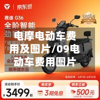 电摩电动车费用及图片/09电动车费用图片