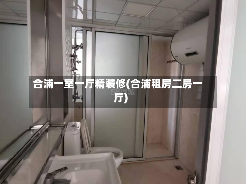 合浦一室一厅精装修(合浦租房二房一厅)-第3张图片