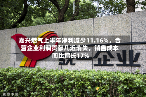 嘉兴燃气上半年净利减少11.16%，合营企业利润贡献几近消失，销售成本同比增长17%-第2张图片