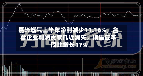 嘉兴燃气上半年净利减少11.16%	，合营企业利润贡献几近消失，销售成本同比增长17%-第3张图片