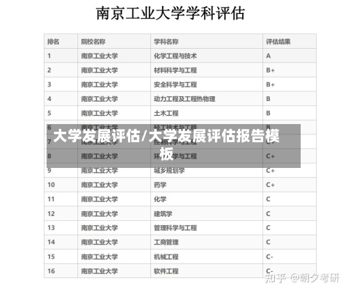 大学发展评估/大学发展评估报告模板